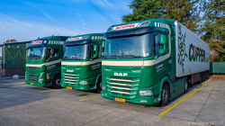 20251122-Cuppen-00059